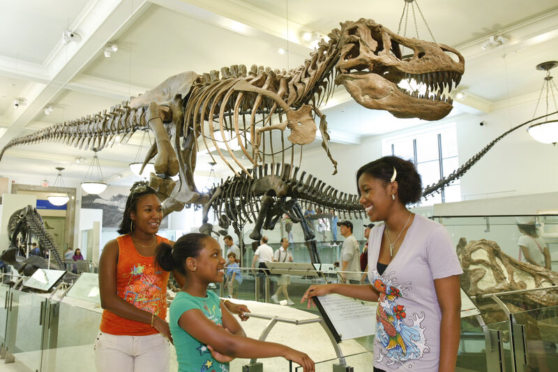 Familie vor einem großen Tyrannosaurus-Rex-Skelett im American Museum of Natural History in New York.