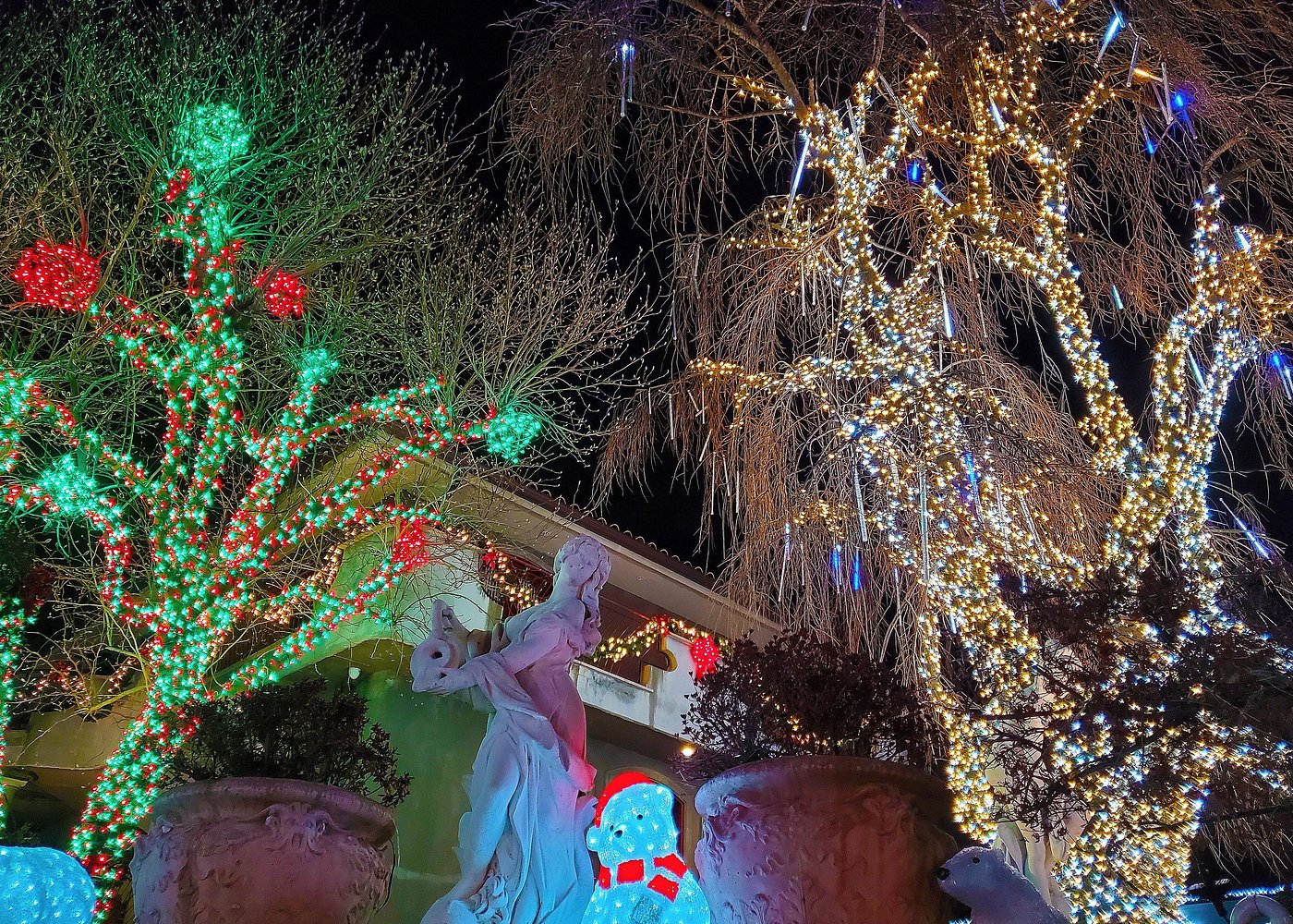 Beleuchtete Bäume, Schneemann und Weihnachtsfiguren in einem festlich geschmückten Vorgarten in Brooklyn.