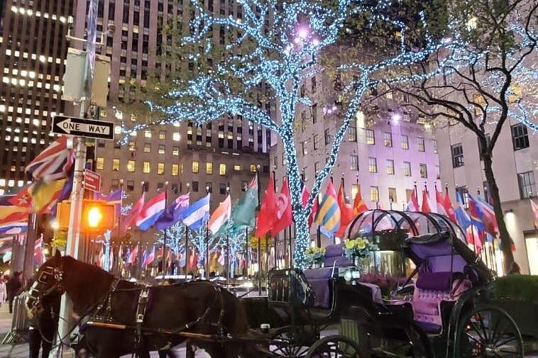 Pferdekutsche vor dem Plaza Hotel an der Fifth Avenue mit internationalen Flaggen und blau-weiß beleuchteten Bäumen.