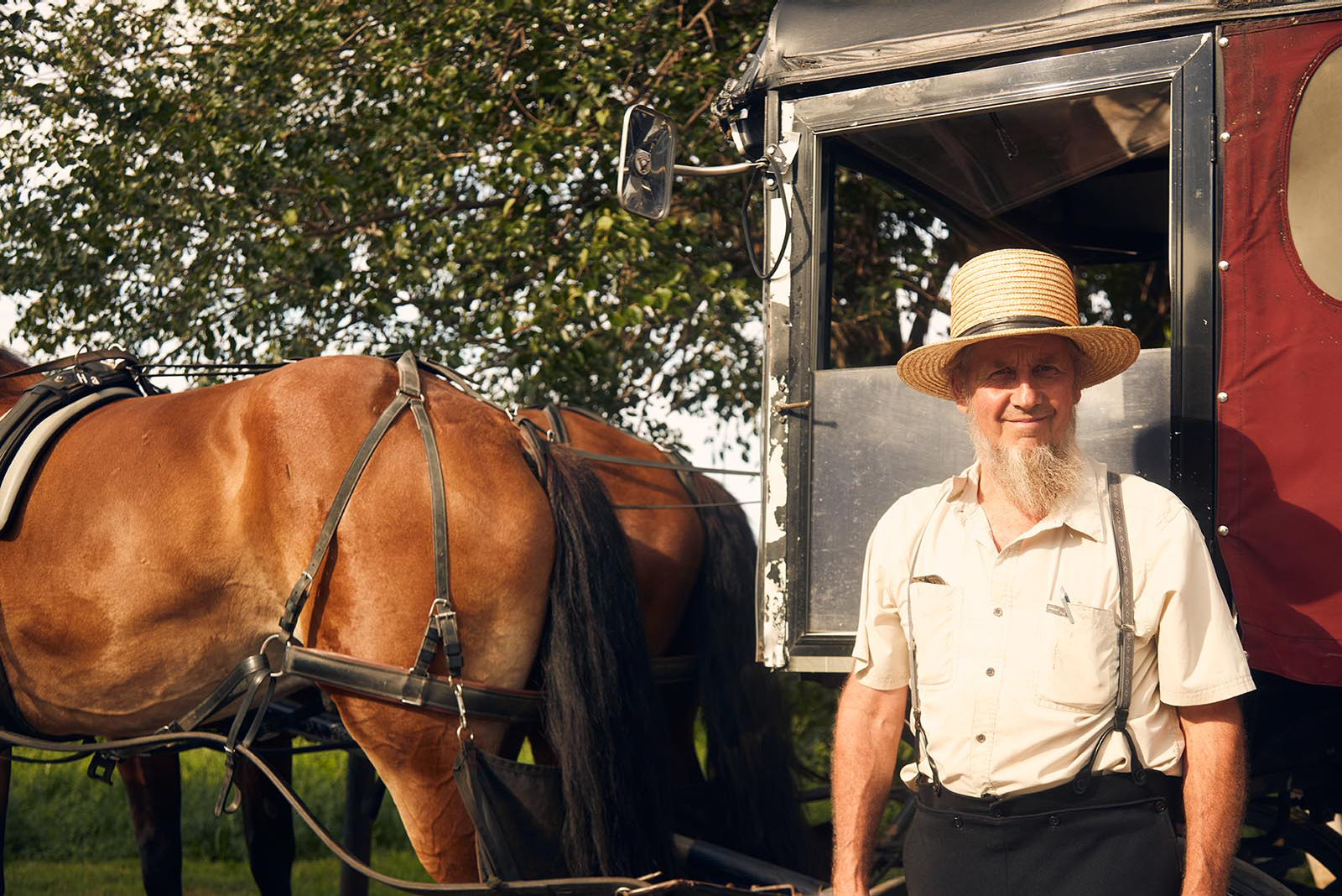 Amish-Kutscher mit Pferd und traditioneller Kutsche im ländlichen Pennsylvania