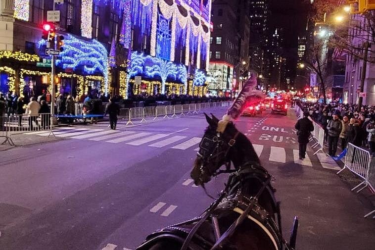 Blick von einer Pferdekutsche auf eine festlich beleuchtete Straße in Manhattan mit blauen Weihnachtslichtern und zahlreichen Besuchern.