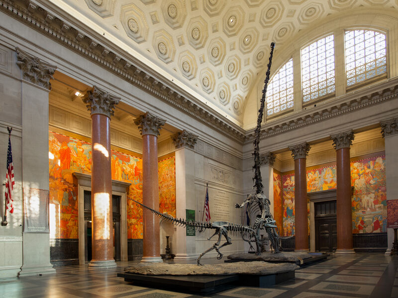 Theodore Roosevelt Rotunda im American Museum of Natural History mit großen Dinosaurierskeletten in der Eingangshalle.