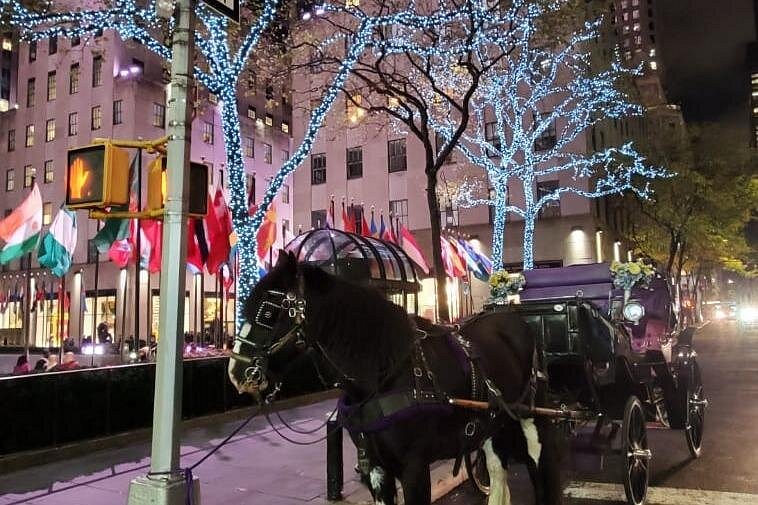 Schwarze Pferdekutsche vor dem Plaza Hotel in Manhattan mit festlich beleuchteten Bäumen und internationalen Flaggen.