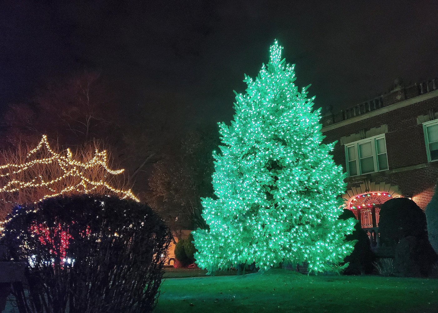 Großer, grün beleuchteter Weihnachtsbaum vor einem Wohnhaus in Brooklyn während der Weihnachtszeit.
